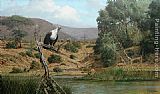 Unknown Fish Eagle by Craig Bone painting